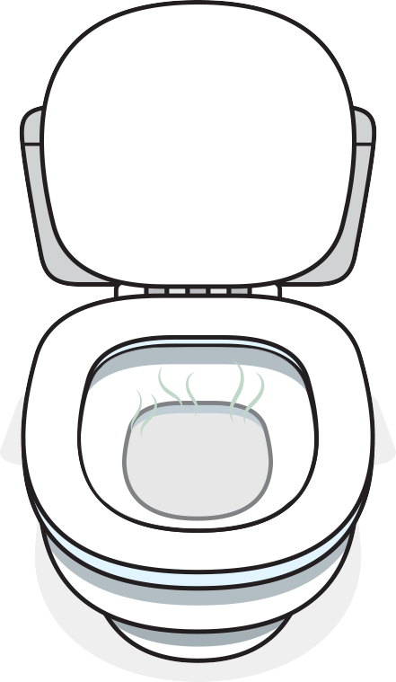 Look into toilet bowl before flush for clues on digestive health